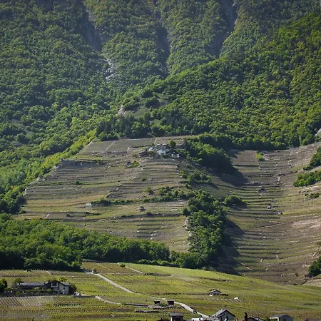Le Petit Beurre De Cacahuete Et Le Poivre Et Sel Apartment