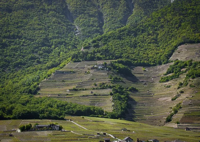 Le Petit Beurre De Cacahuete Et Le Poivre Et Sel Lägenhet